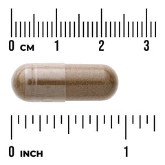 Celery Seed - Maximum Strength