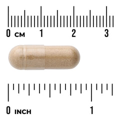 Full Spectrum Astragalus Root