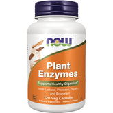 Plant Enzymes