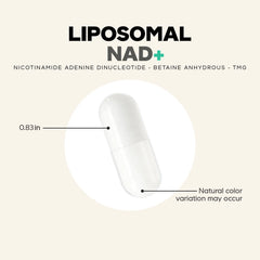 Liposomal NAD+
