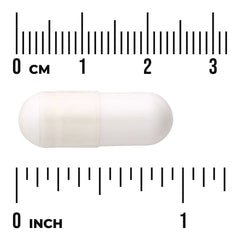 L-Ornithine - Free Form
