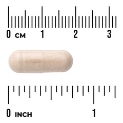 Albion Manganese
