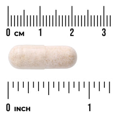 Japanese Oyster Extract