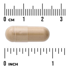 Full Spectrum Ginger Root