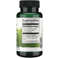 Goji Berry Extract Wolfberry - Standardized