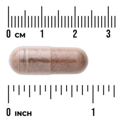 Herbal Urinary Care - Featuring Cranberry