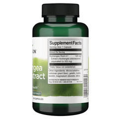 Hydrangea Root Extract - 4:1 Extract