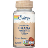 Mushrooms Chaga Fermented
