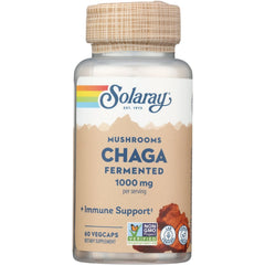 Mushrooms Chaga Fermented