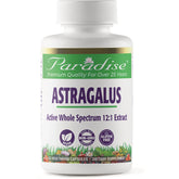 Astragalus