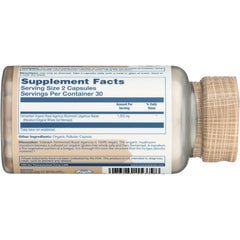 Mushrooms Organic Royal Agaricus Fermented