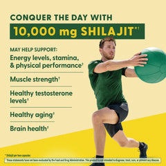 Shilajit with Fulvic Acid