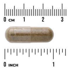 Full Spectrum Damiana