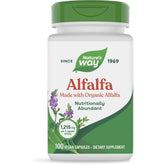 Alfalfa