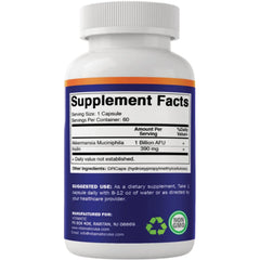 Akkermansia Gut Health