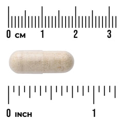 Yacon Root Extract - Featuring Yacontrol