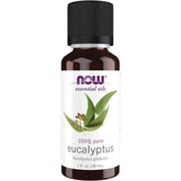 100% Pure Eucalyptus Oil