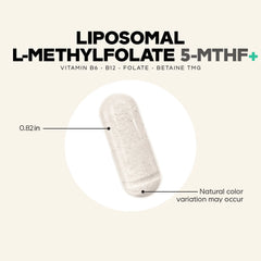 Liposomal L-Methylfolate 5-MTHF+
