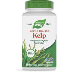 Whole Thallus Kelp