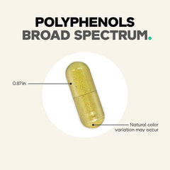 Polyphenols Broad Spectrum+