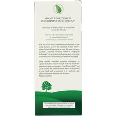Sambucus Black Elderberry