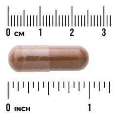 Cinnamon Bark - Maximum Strength