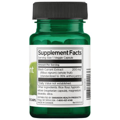 Black Currant Extract