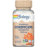 Mushrooms Cordyceps Fermented