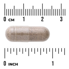 Valerian Root Extract - Standardized
