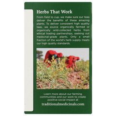 Organic Fennel Tea
