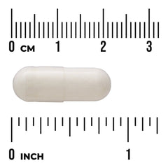 Men's Daily Probiotic + Prebiotic FOS
