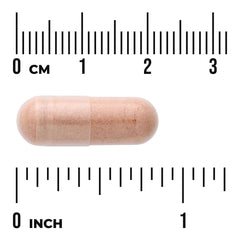 Pycnogenol - Super Strength