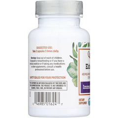 Elderberry