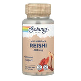 Mushrooms Reishi