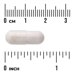 Bacillus Coagulans - Spore Form