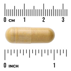 Fermented Turmeric
