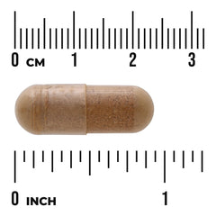 Full Spectrum Dandelion Root