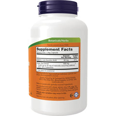 Green Tea Extract
