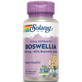 Boswellia