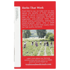 Organic Echinacea Plus Tea - Elderberry