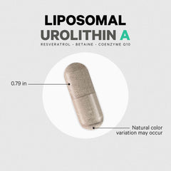 Liposomal Urolithin A