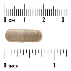 Bacopa Monnieri - 10:1 Extract
