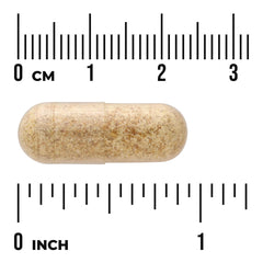 Full Spectrum Fenugreek Seed