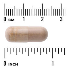 Triple Mushroom Complex - 3 Mushroom Formula
