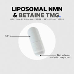 Liposomal NMN