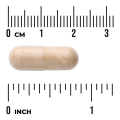 Horse Chestnut Extract - Standardized