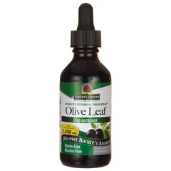 Olive Leaf Alcohol Free