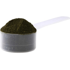 AlfaPro Alfalfa Protein Concentrate - Non-GMO