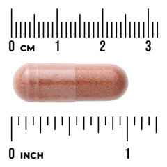 Red Yeast Rice & CoQ10 with Milk Thistle and Alpha Lipoic Acid