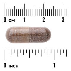 Shatavari Root Extract - Standardized